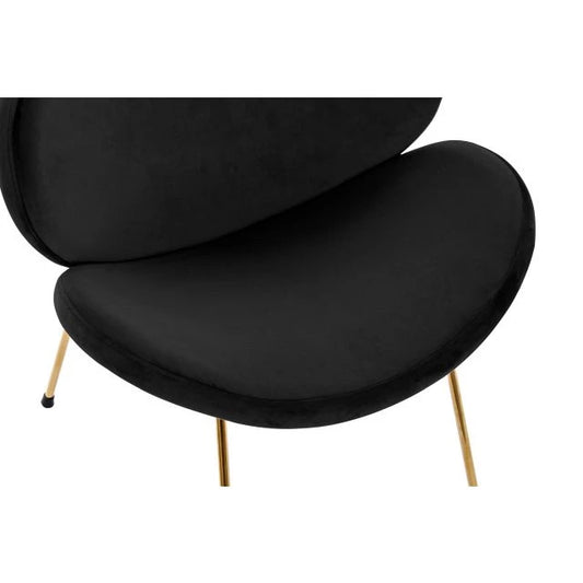 Luxus Fekete & Arany Szék (62x58x73 cm) (2db)